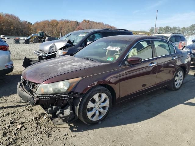 2010 Honda Accord EXL