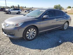 Salvage cars for sale at Mentone, CA auction: 2015 Honda Accord EX