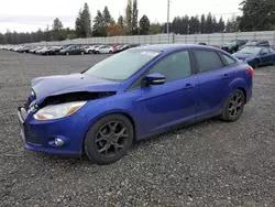 Ford salvage cars for sale: 2014 Ford Focus SE