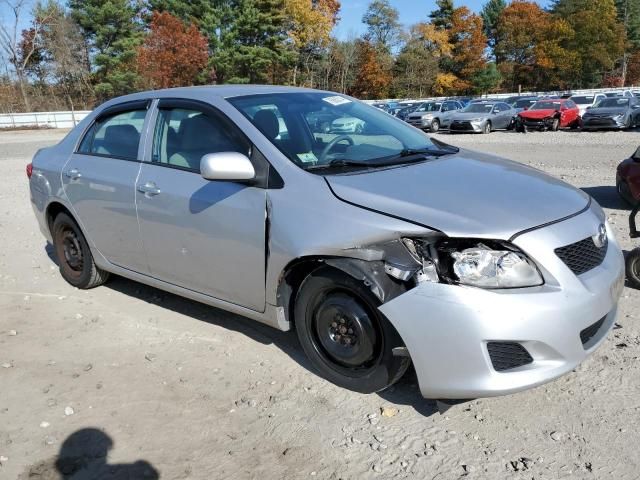 2010 Toyota Corolla Base