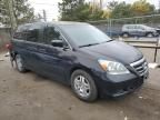 2007 Honda Odyssey EXL