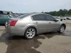 2004 Nissan Maxima SE