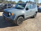 2017 Jeep Renegade Trailhawk