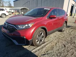 Salvage cars for sale at Spartanburg, SC auction: 2020 Honda CR-V EXL