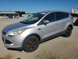 Ford Escape salvage cars for sale: 2015 Ford Escape SE