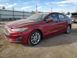 Ford Vehiculos salvage en venta: 2019 Ford Fusion SE