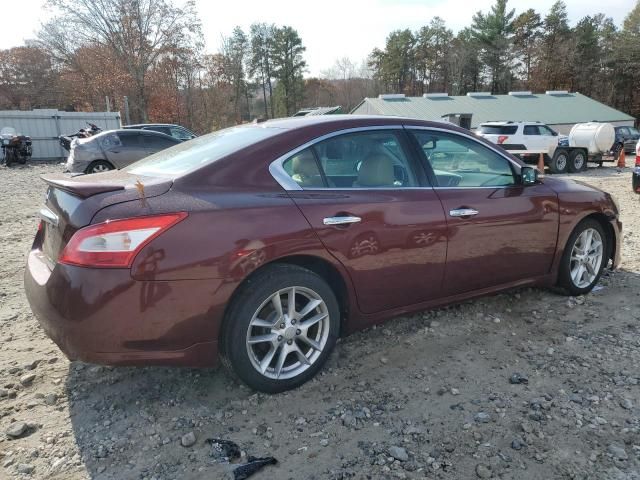 2009 Nissan Maxima S