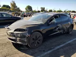 Salvage cars for sale from Copart Van Nuys, CA: 2024 Tesla Model 3