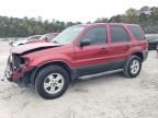 2006 Ford Escape XLT