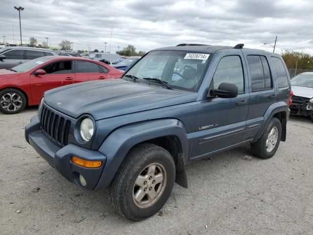 2002 Jeep Liberty Limited