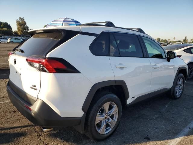 2024 Toyota Rav4 LE