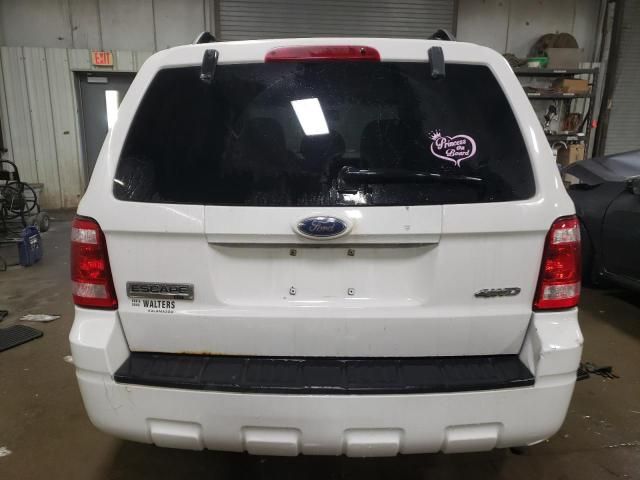 2009 Ford Escape XLT