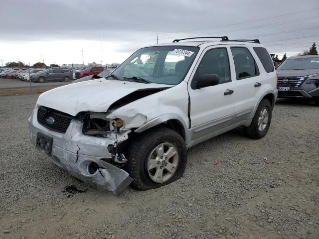 2007 Ford Escape XLT