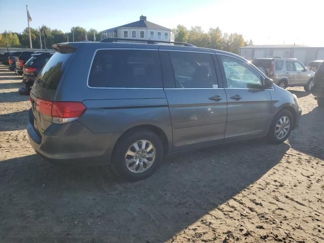 2010 Honda Odyssey EXL