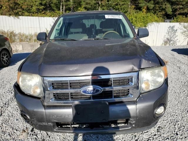 2010 Ford Escape XLT