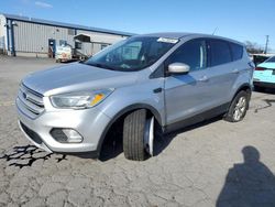 Salvage cars for sale at Pennsburg, PA auction: 2017 Ford Escape SE