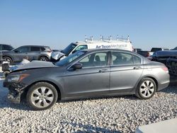 Salvage cars for sale at Taylor, TX auction: 2008 Honda Accord EXL