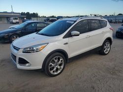 Salvage cars for sale at Harleyville, SC auction: 2013 Ford Escape Titanium