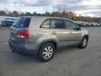 2012 KIA Sorento Base