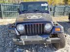 1998 Jeep Wrangler / TJ Sport