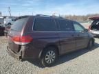 2010 Honda Odyssey EX