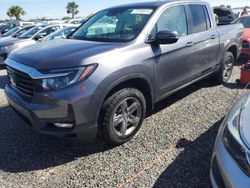 Honda Ridgeline salvage cars for sale: 2023 Honda Ridgeline RTL