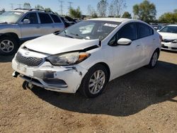 Salvage cars for sale at Elgin, IL auction: 2014 KIA Forte LX