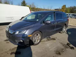 2020 Honda Odyssey EXL en venta en Marlboro, NY