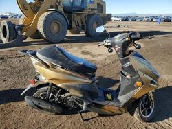 Salvage motorcycles for sale at Brighton, CO auction: 2023 True Cforce 100