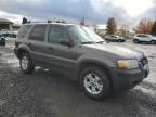 2006 Ford Escape XLT