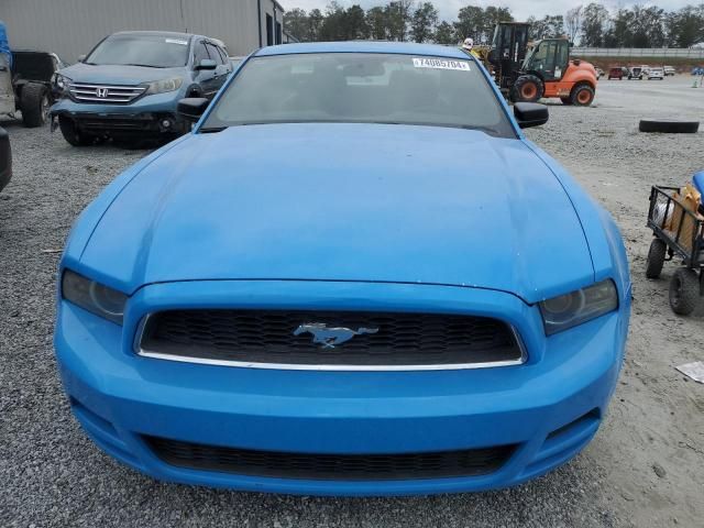 2013 Ford Mustang