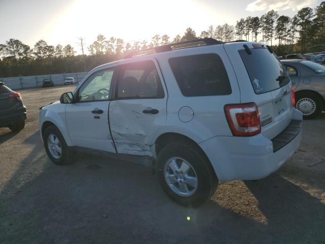 2009 Ford Escape XLT