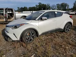 Flood-damaged cars for sale at auction: 2019 Toyota C-HR XLE