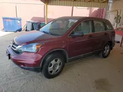 Honda salvage cars for sale: 2010 Honda CR-V LX