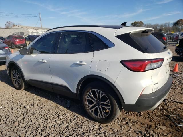 2020 Ford Escape SEL