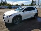 2021 Lexus UX 250H