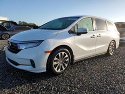 2024 Honda Odyssey EXL en venta en Midway, FL