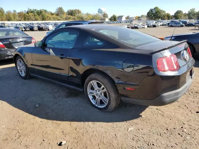 2010 Ford Mustang