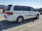 2008 Honda Odyssey LX