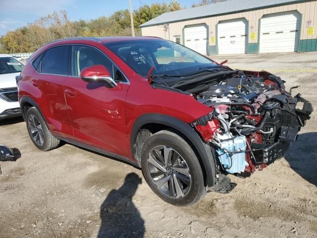 2019 Lexus NX 300 Base