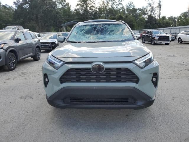 2023 Toyota Rav4 XLE Premium