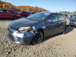 Toyota salvage cars for sale: 2016 Toyota Corolla ECO