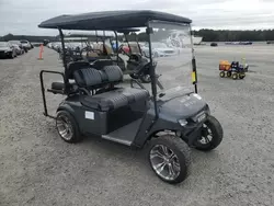 Ezgo Vehiculos salvage en venta: 2019 Ezgo Golf Cart