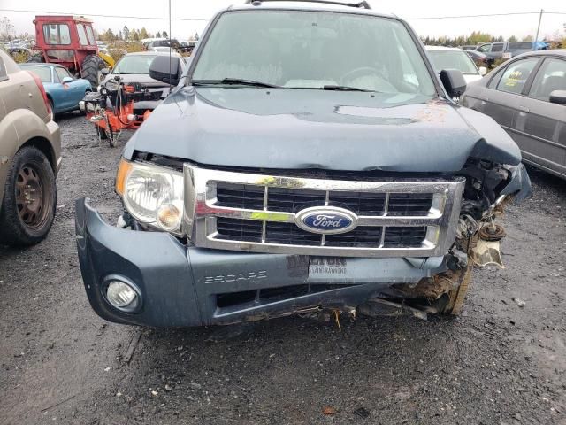 2012 Ford Escape XLT