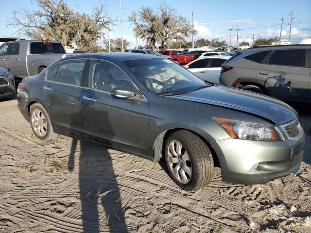 2008 Honda Accord EXL