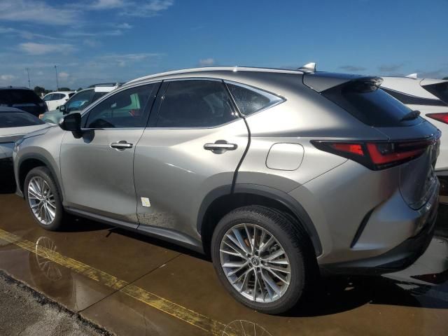 2023 Lexus NX 350