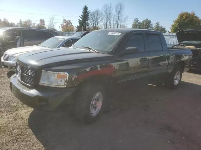 2010 Dodge Dakota SXT