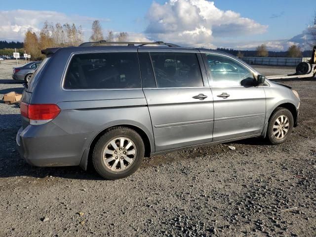 2010 Honda Odyssey EXL