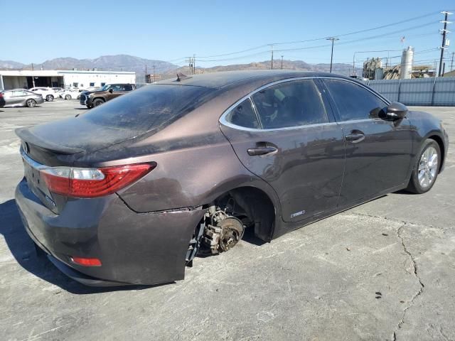 2013 Lexus ES 300H