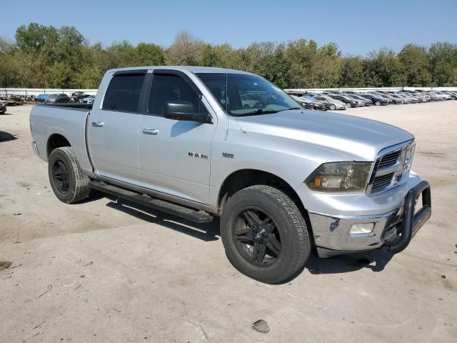 2009 Dodge RAM 1500